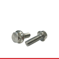 BOLTS-FLANGE SCREWS